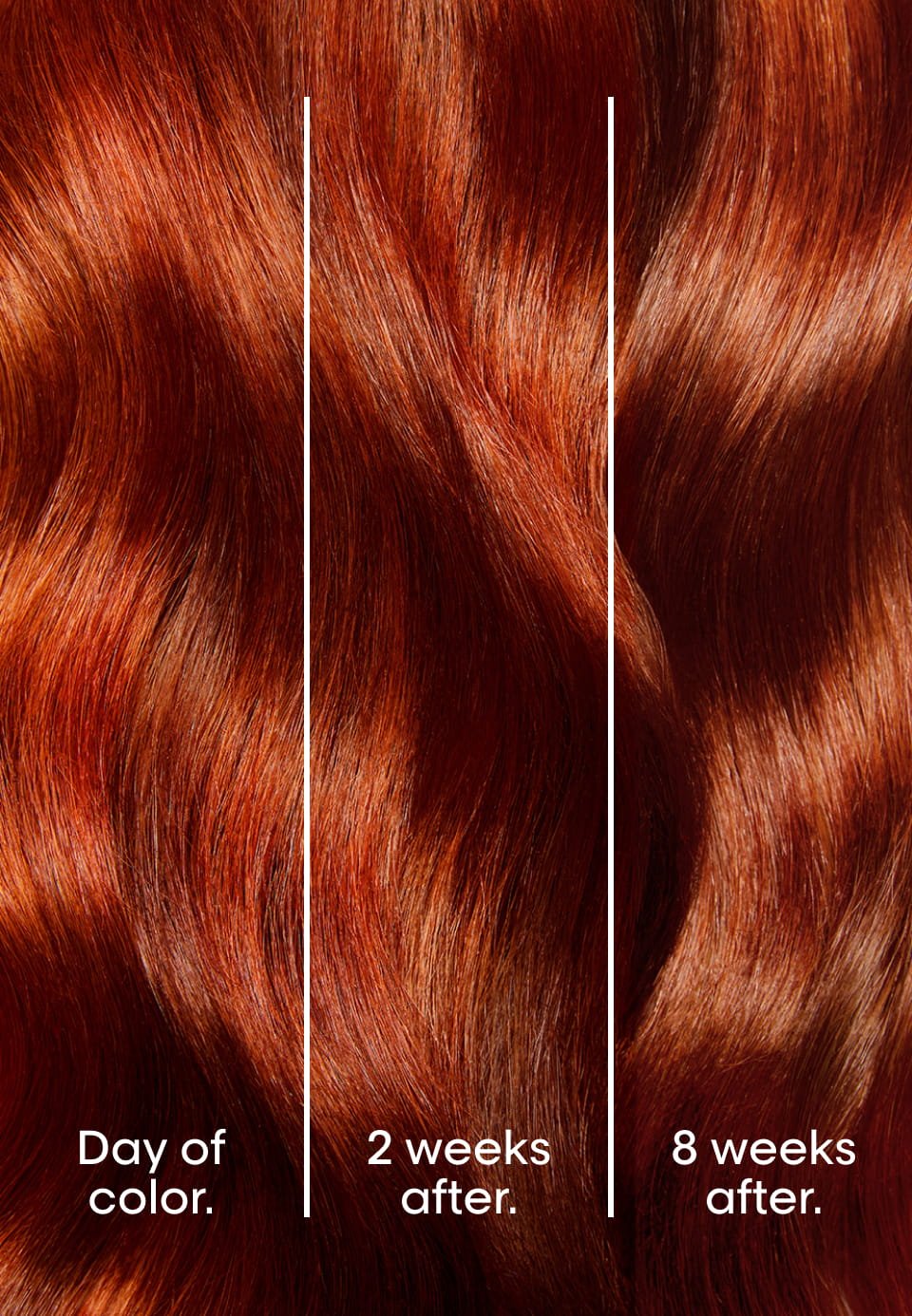 slider-inoa-2024-12-perf-proof-3