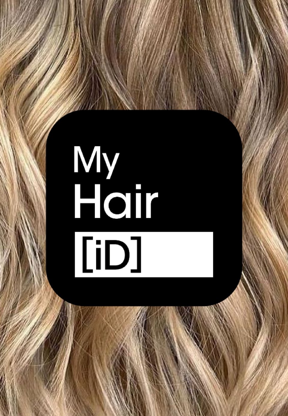 my-hair-id-legal-1-summary-10