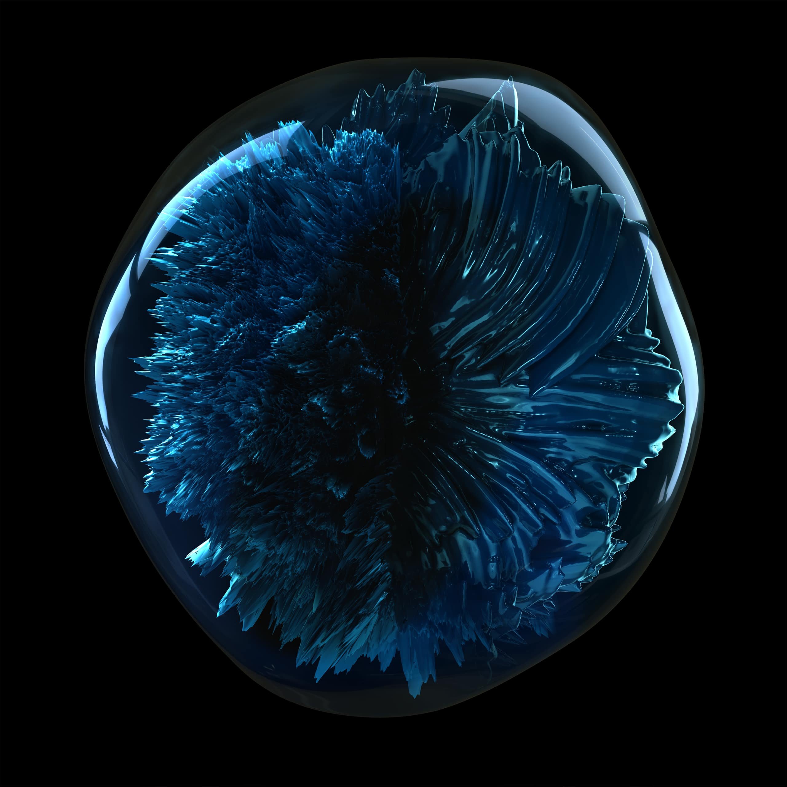 scalp-advanced-2024-07-2-perf